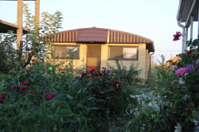 Guesthouse Mechta